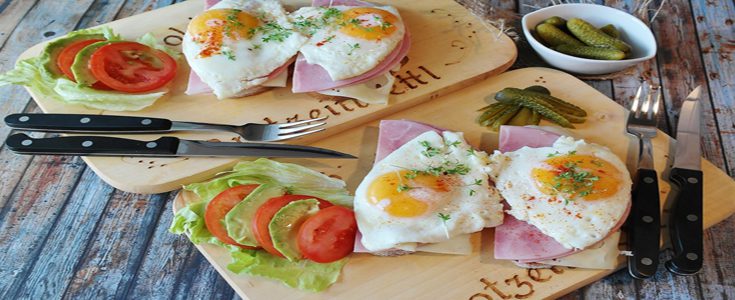 Conceptos básicos de nutrición