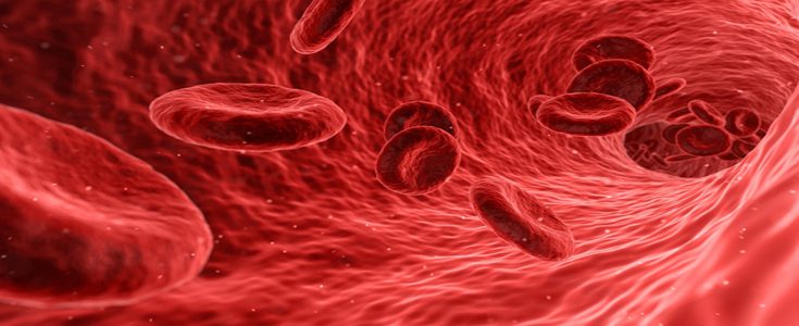 ¿Qué dieta seguir para bajar el colesterol alto?