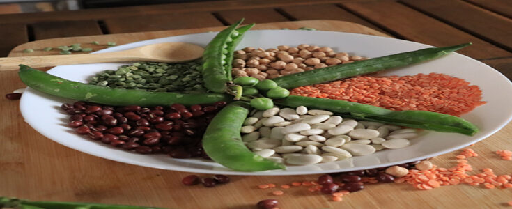 Vitamina B9